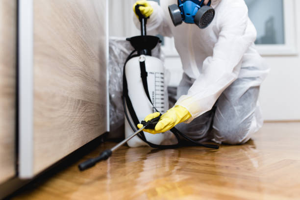 Best Pest Control for Homes  in Winnebago, MN