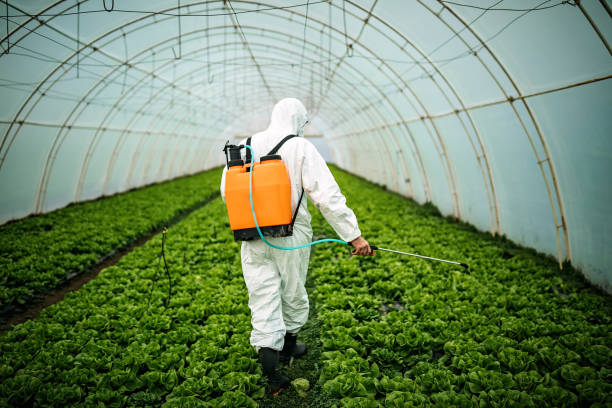 Reliable Winnebago, MN Pest Control Solutions