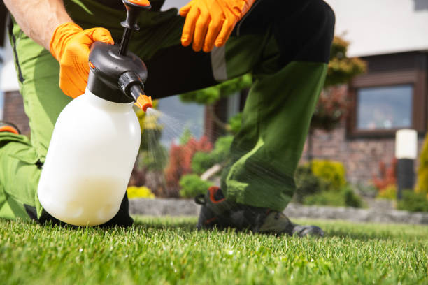 Best Rat Extermination Near Me  in Winnebago, MN