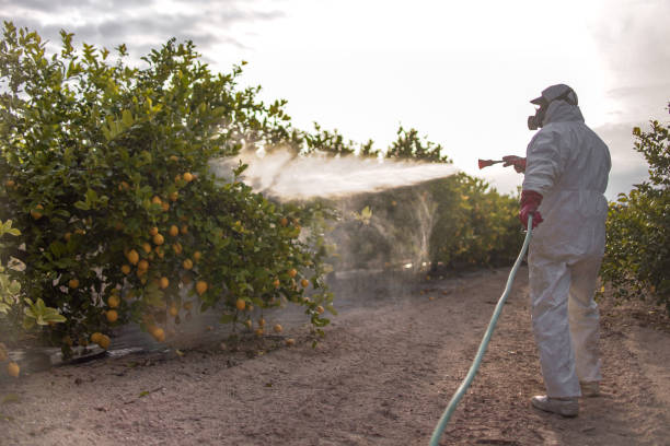Best Pest Inspection Near Me  in Winnebago, MN