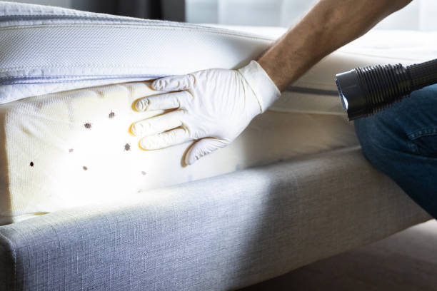 Best Pest Control for Businesses  in Winnebago, MN