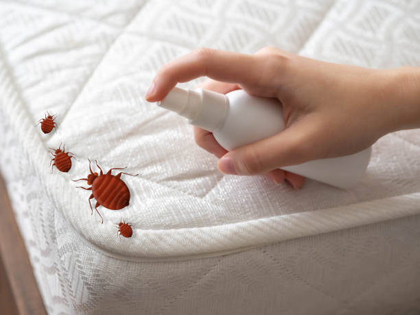 Best Mosquito Control Services  in Winnebago, MN