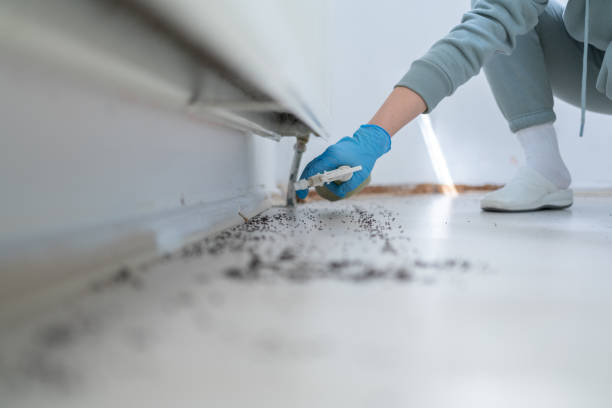 Reliable Winnebago, MN Pest Control Solutions